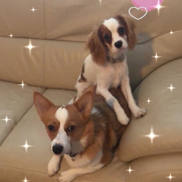 π¦πβ¨Meet the Sellerβ¨ππ¦ - Picture 4 of 6